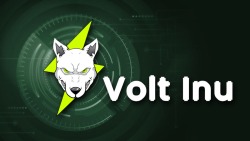 Volt Inu (VOLT) Unveils Alpha Version of its Battle Royale Game