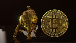 Bitcoin (BTC): Analyst Identifies 9 Factors Pointing to Bull Run