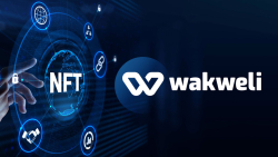 NFT Certification Protocol Wakweli Closes First Funding Round with $1.1 Million Raised