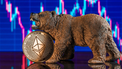 Ethereum Monthly Earnings at All-Time High, During Bear Market
