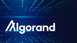 Algorand (ALGO) CTO Gives Update on Recent Exploit Impacting Multiple Accounts