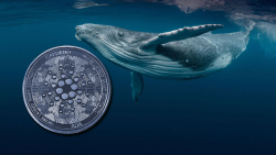 Cardano (ADA) Whales Waking up, On-chain Data Signals Trend