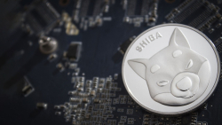 Shiba Inu (SHIB) APY Reaches 1-Month Low, and It's More Bullish Than You Think