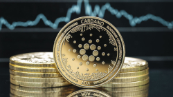 Cardano (ADA) Price Slip Deepens, Here Are Likely Beneficiaries of This Trend
