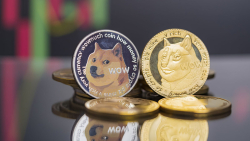 Dogecoin (Doge) Price Dips 6%, Here's What Might Cushion Declines: Details