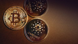 Cardano (ADA) Correlation With Bitcoin Nears ATH, Here's What It Means