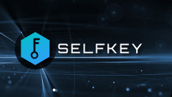 SelfKey Introduces Digital Verification Solutions Backed by ZK and AI Tools