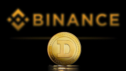 Tens of Millions of Dogecoin Moved From Binance as DOGE Strives to Overcome $0.0760