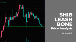 SHIB, LEASH and BONE Price Analysis for March 7