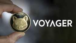 400 Billion SHIB Tokens Sold by Voyager, Price Plummets Again: When Will This End?