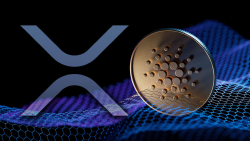 XRP, Cardano (ADA) Reveal Key Signal for Traders, Here's What to Know