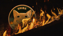 SHIB Burn Rate up Whopping 27,954%, Billions of Shiba Inu Go up in Flames