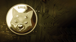 Shiba Inu (SHIB) Shows Resilience in This Key Metric Despite Price Fall: Details