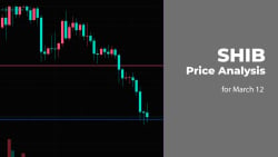 SHIB Price Analysis for March 12
