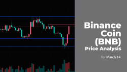 Binance Coin (BNB) Price Analysis for March 14