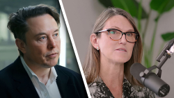 Elon Musk Responds to Cathie Wood About Bitcoin (BTC), Ethereum (ETH) Rising in Current Bank Crash