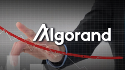 More than 98% of Algorand (ALGO) Addresses Are in Loss, Here's How to Turn Tide