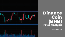 Binance Coin (BNB) Price Analysis for March 19