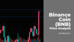 Binance Coin (BNB) Price Analysis for March 22
