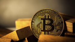IFF Economist Mocks Bitcoin's Lack of Diversification Attributes