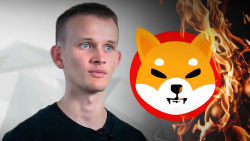 410 Trillion Shiba Inu (SHIB) Burn by Ethereum's Vitalik Buterin Might Be Biggest of All Time: Details