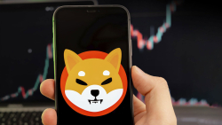 Shiba Inu (SHIB) to Face $1.3 Billion in Selling Pressure If Price Rises to This Level