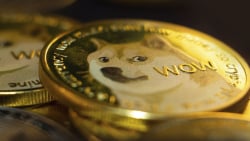 350 Million Dogecoin Purchased as DOGE Price Drops, Offering Chance to Buy Dip