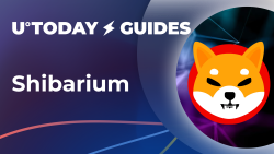 What Is Shibarium, and What Does It Mean for Shiba Inu (SHIB): Guide