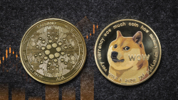 Cardano (ADA) Back Above Dogecoin (DOGE) as Meme Coin's Rally Stalls  