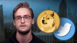 Dogecoin (DOGE) Tipped to Surpass Twitter, Top Analyst Wonders When
