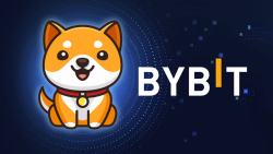 Baby Doge Coin (BabyDoge) Goes Live on Bybit Spot: Details