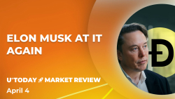 Dogecoin: Elon Musk at It Again, Here's What Might Happen With DOGE Next