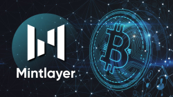 Bitcoin (BTC) Sidechain Mintlayer Introduces $4 Million Grant Program
