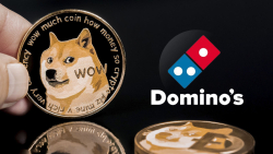 Surprising DOGE Mention Comes from Domino's Pizza Giant: Details