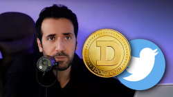 David Gokhshtein Teases Dogecoin Community With This Tweet