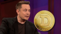 DOGE Price up as Elon Musk Shares New Tweet About Dogecoin