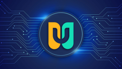 ApeCoin (APE) and WAX (WAXP) Ready for NFT Revival, Uwerx (WERX) Ahead of Big Announcements