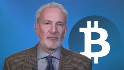 Peter Schiff Predicts Next Bitcoin (BTC) Crash as Institutional Adoption 'Is Over'