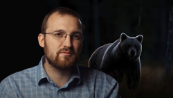 ADA Price Takes Dip After Cardano Founder Unveils Bear Statue