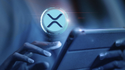 Close to Half Billion XRP Shoveled by Anon Wallets as Price Keeps Holding in $0.5 Range