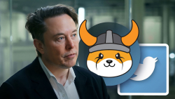 Elon Musk Says 'Floki' Took Over Twitter, Guess What Happened With Floki Inu (FLOKI)