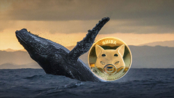 Tens of Billions of SHIB Grabbed by Whales as SHIB Rises in Past Hour