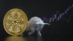 ADA Whale Predicts Cardano Bull Run, Here's Timing and Likely Trigger