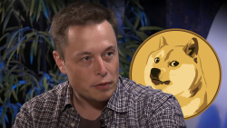 Elon Musk Offers 1 Million Dogecoin (DOGE) for This
