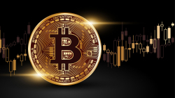 Bitcoin Network Shows High Potential for BTC Price Surge: Analyst