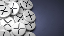 Here's Why XRP Might Send Top Cryptocurrencies to Valhalla, Explains Top Crypto Trader