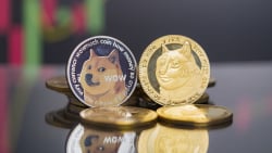 Dogecoin (DOGE) up 8% in Rare Solo Surge Without Elon Musk, What's Happening?