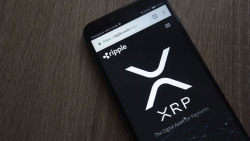XRP Is OK for ODL But Not for Ripple's New Liquidity Hub: Engineer Explains Why
