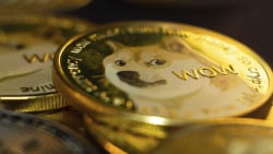 Dogecoin (DOGE) Price Jumps as Community Anticipates Starship Launch