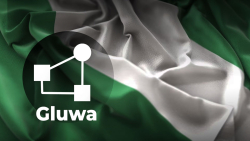 Blockchain Team Gluwa Proposes Nigerian Government Collaboration on Crypto Regulation